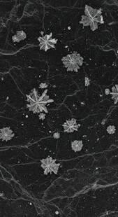 黑色背景上的精致雪花图案