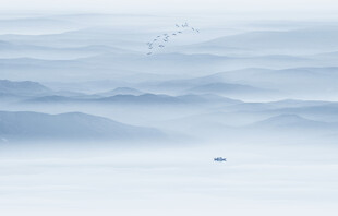 新中式电视背景墙