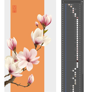 玉兰花