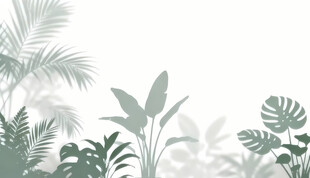 雾气磨砂膜效果绿植贴图