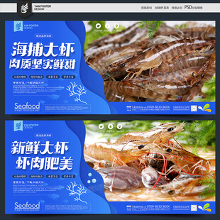 虾