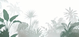 雾气磨砂膜效果绿植贴图