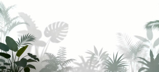 雾气磨砂膜效果绿植贴图