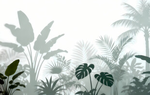 雾气磨砂膜效果绿植贴图