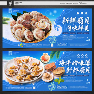 扇贝