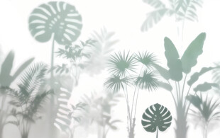 雾气磨砂膜效果绿植贴图