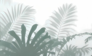 雾气磨砂膜效果绿植贴图