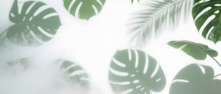 雾气磨砂膜效果绿植贴图