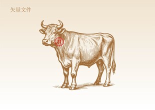 牛动物素描插画版画