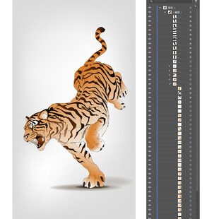 跃起的猛虎