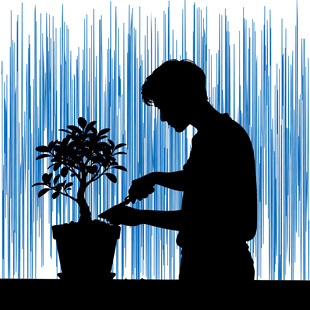 男子剪影专注打理盆栽