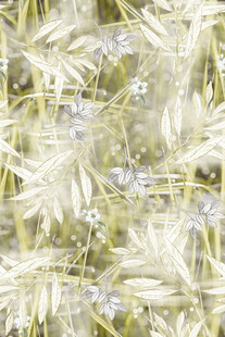 田野中的麦穗与小花