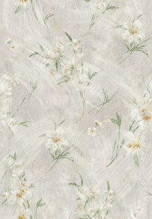 淡雅雏菊花卉纹理图案