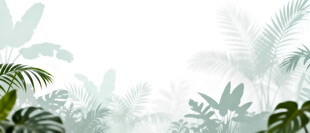 雾气磨砂膜效果绿植贴图