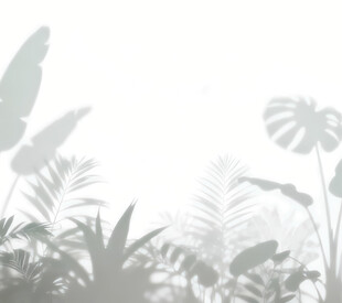 雾气磨砂膜效果绿植贴图