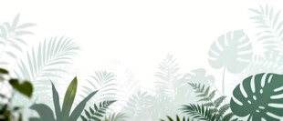 雾气磨砂膜效果绿植贴图