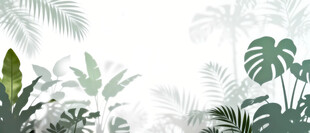 雾气磨砂膜效果绿植贴图