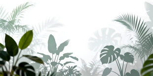 雾气磨砂膜效果绿植贴图