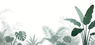 雾气磨砂膜效果绿植贴图