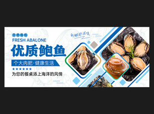 鲍鱼