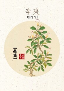 辛夷