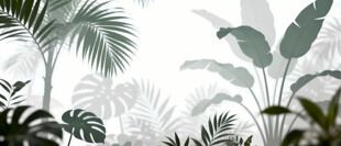 雾气磨砂膜效果绿植贴图