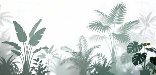 雾气磨砂膜效果绿植贴图