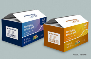 两色精美包装盒包装箱展示