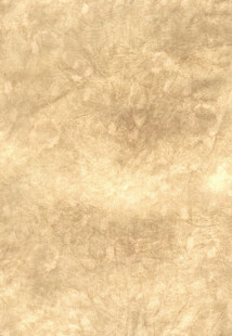 米黄色纹理背景图