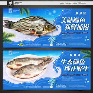 鲫鱼