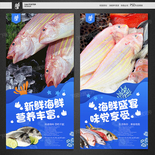 红杉鱼