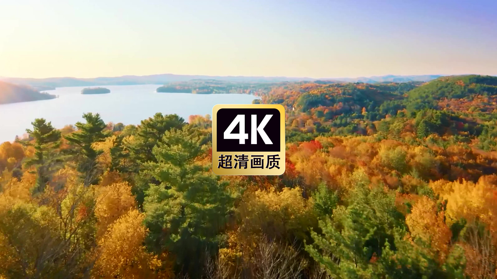 航拍海边红树林