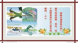 校园文化建设