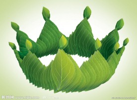 绿叶皇冠