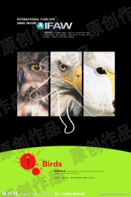 1环保公益广告系列招贴之一 鸟