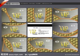 VIP卡 会员卡 贵宾卡 金卡