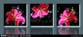 百合装饰画