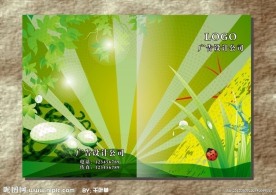 阳光树林 绿色画册封面