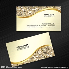 名片模块 浮雕龙纹名片