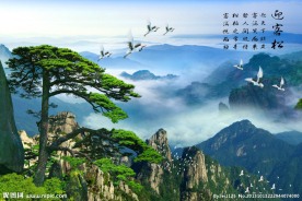 黄山迎客松 迎客松