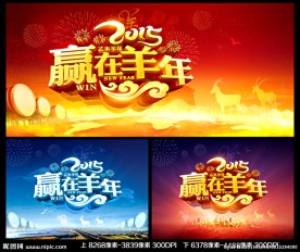 2015 年会