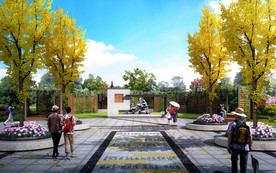 龙亢农场透视图