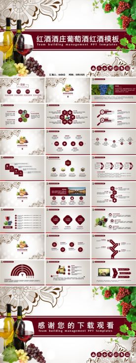 红酒酒会宣传活动策划PPT模板