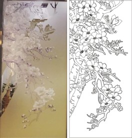 玉兰花