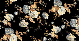 手绘 菊花 连续 花卉