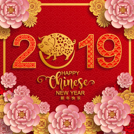 2019春节猪年中国年创意海报