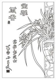 室雅兰香