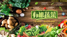 果蔬背景墙