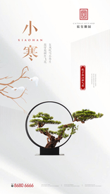 节气-小寒