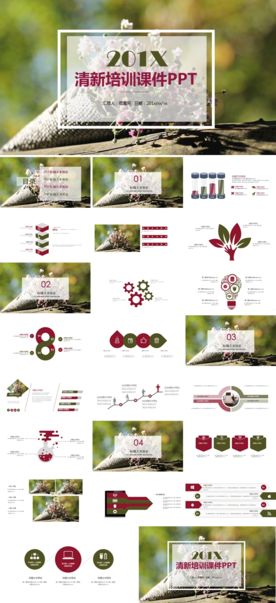 清新培训课件